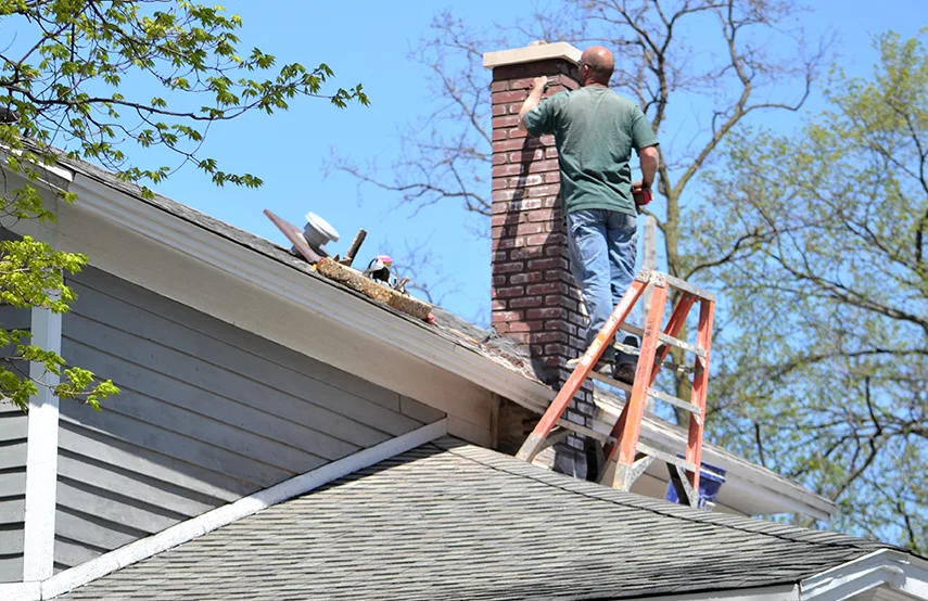 Chimney & Fireplace Inspections Services in Washington, IL